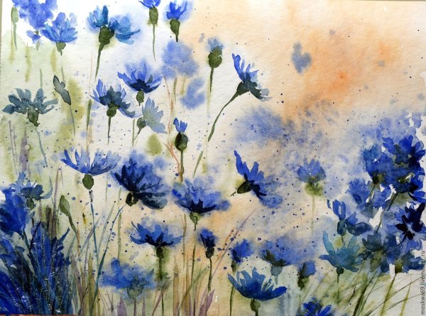 Полевые цветы акварелью