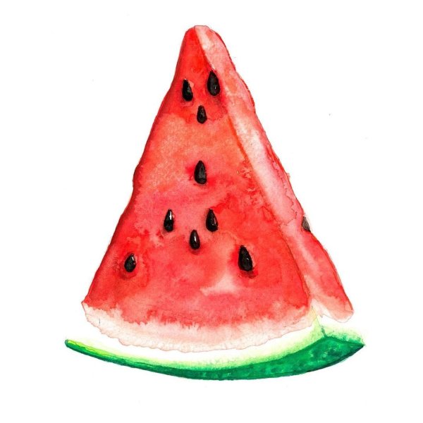 Долька арбуза акварелью