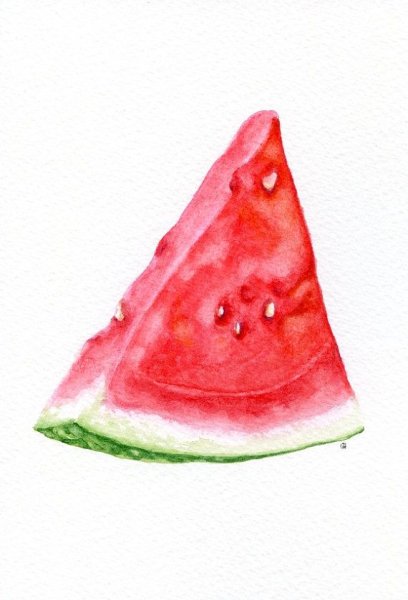 Долька арбуза акварелью