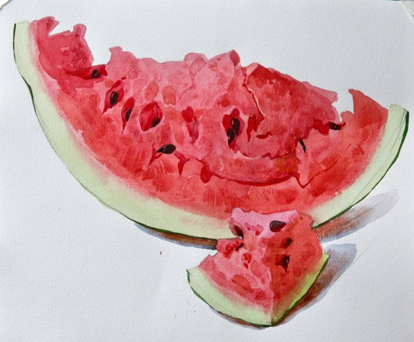 Сергей Андрияка акварель арбузы