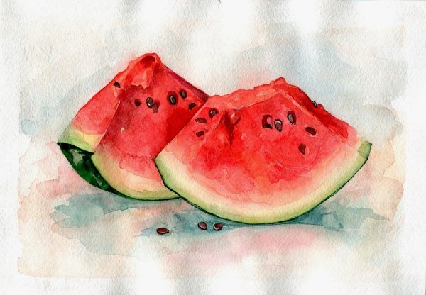 Долька арбуза акварелью