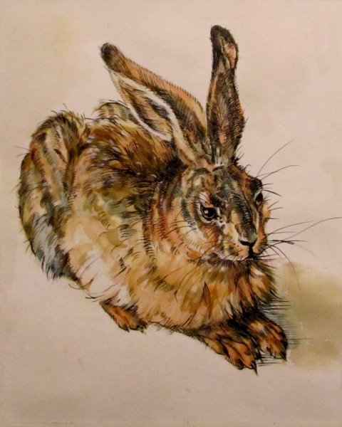 Альбрехт Дюрер анималистика