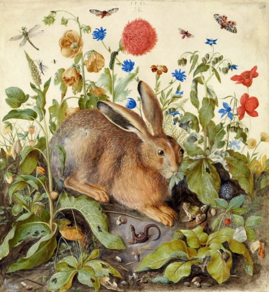 Альбрехт Дюрер морж