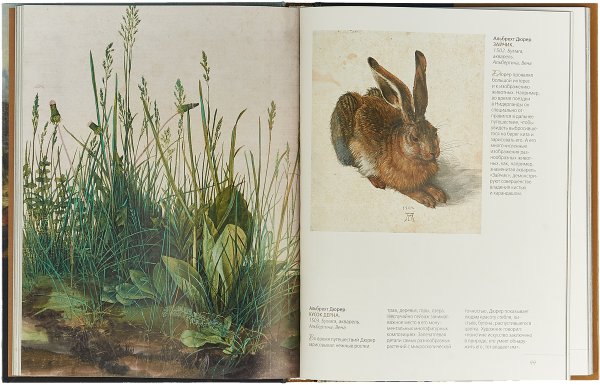 Альбрехт Дюрер художник пейзажи