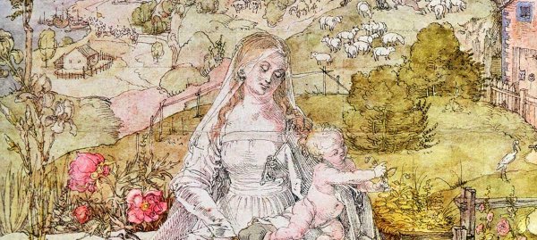 Альбрехт Дюрер акварель