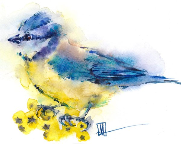 Рисование синица на ветке