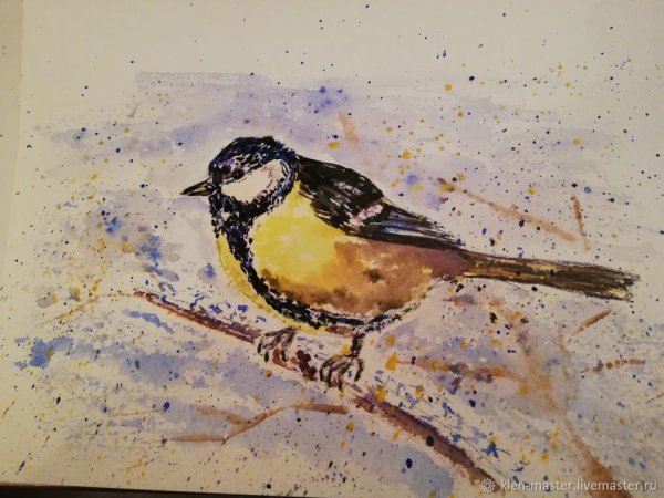 Синичка акварелью