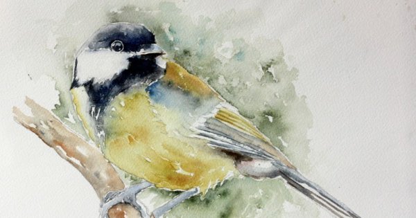 Рисование красками синичка