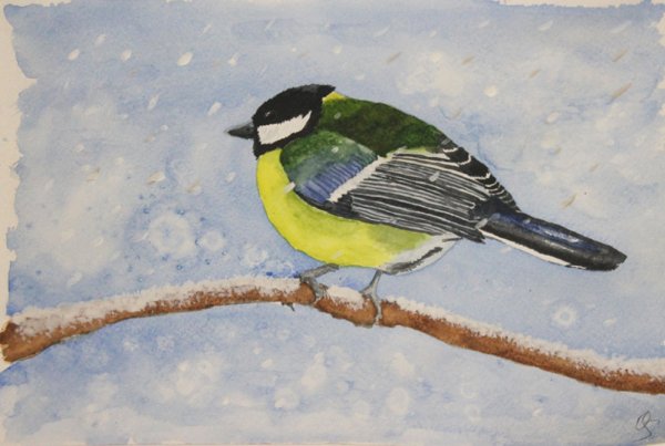 Акварельные синички