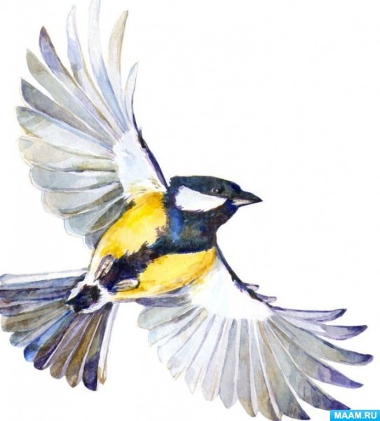 Рисование весенних птиц