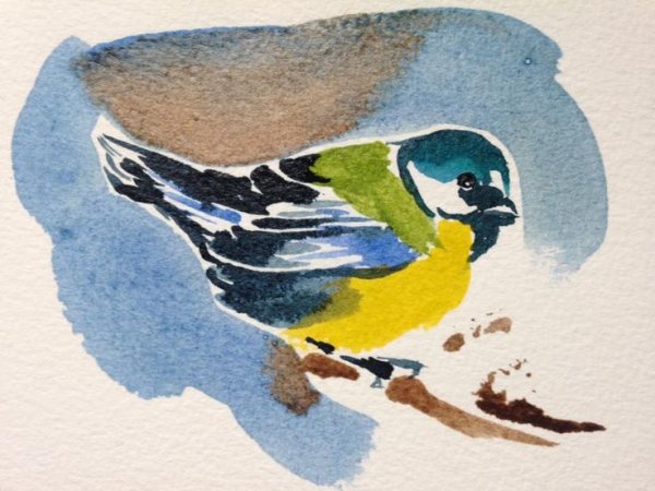 Синица акварелью на белом фоне