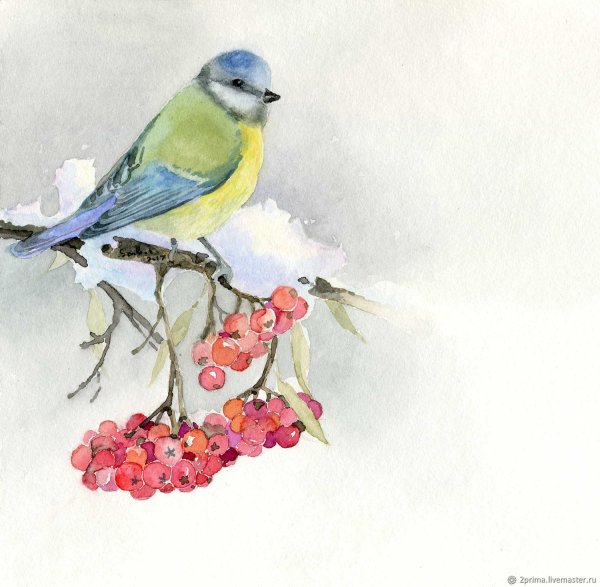 Синички восковыми мелками