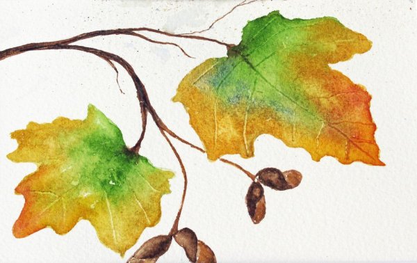 Рисуем осенние листья акварелью