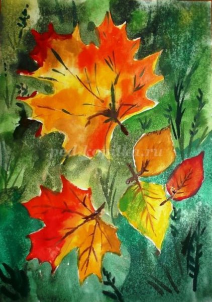 Осенние листья изо