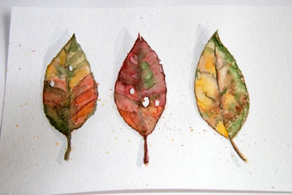 Этюд листьев акварелью