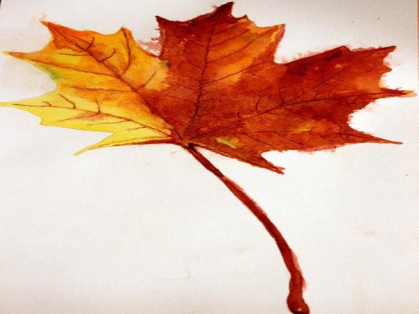 Рисование осенний листок
