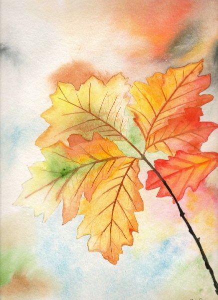 Осенние листья акварель