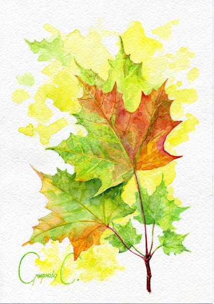 Листья акварель