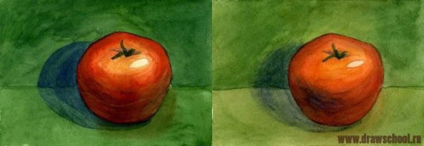 Яблоко в теплом и холодном цвете
