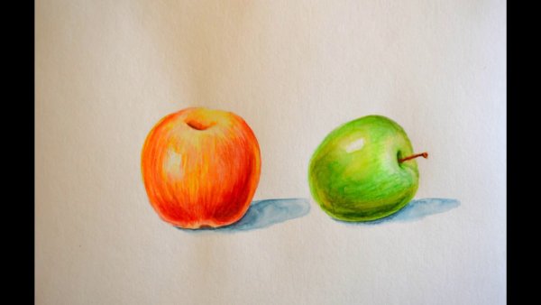 Яблоко с тенью гуашь