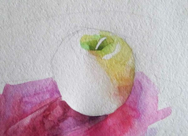 Поэтапное рисование яблока акварелью