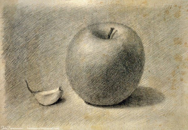 Яблоко Светотень карандашом