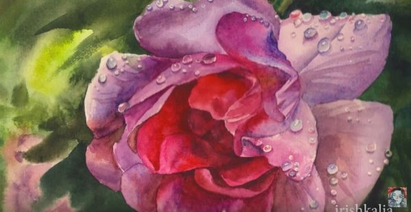 Капли на цветах акварелью