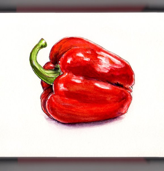 Перец акварелью
