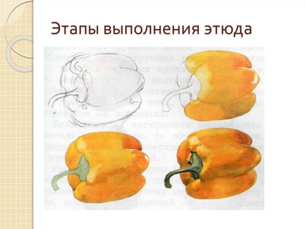 Овощи акварелью для начинающих