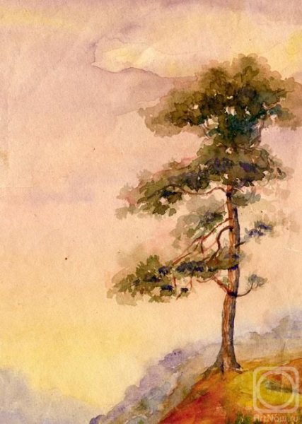 Акварель сосны пейзаж