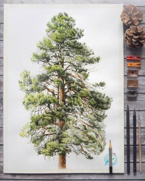 Художник: Евгения Бабичева (Щеглова)