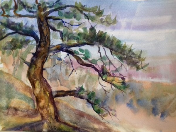 Сосна акварелью