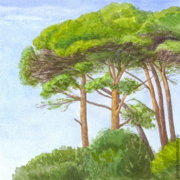 Рисование сосны