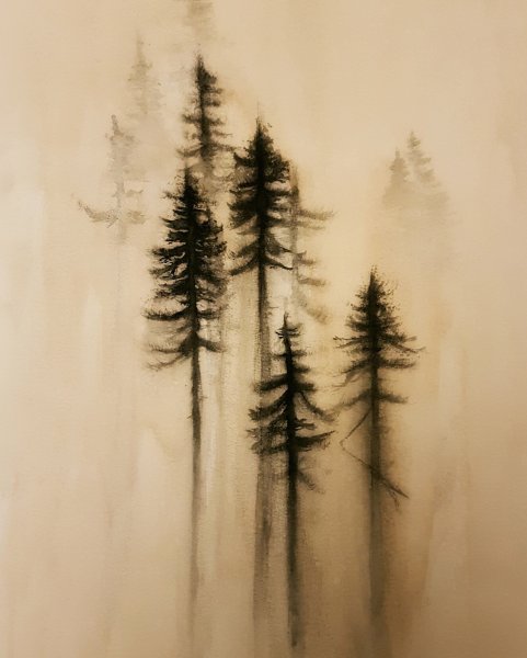 Сосновый лес акварель