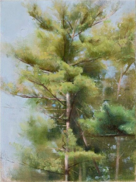 Масло для дерева