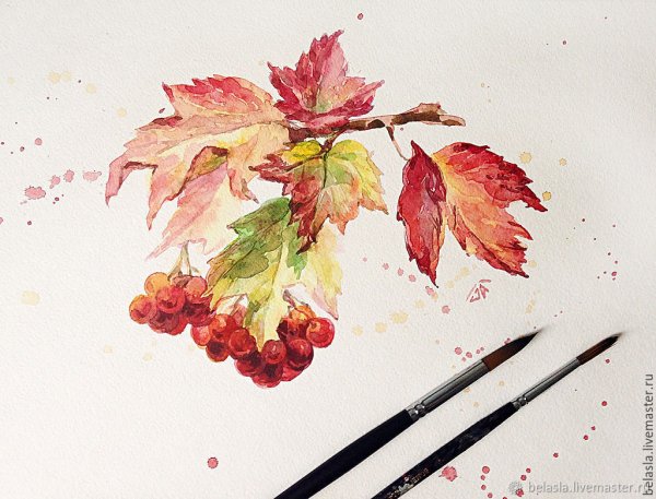 Калина акварель