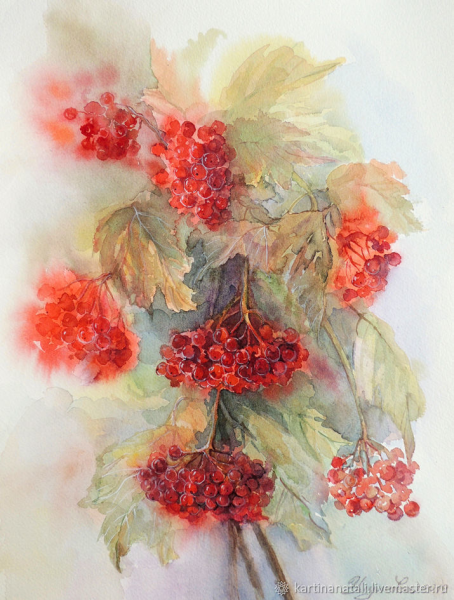 Рябина акварель Мария Стежко