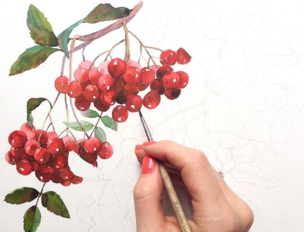 Кисть Рябинки гроздь Калинки