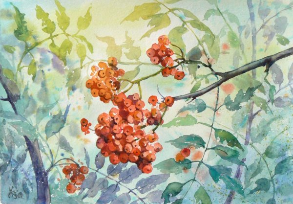 Осень акварель