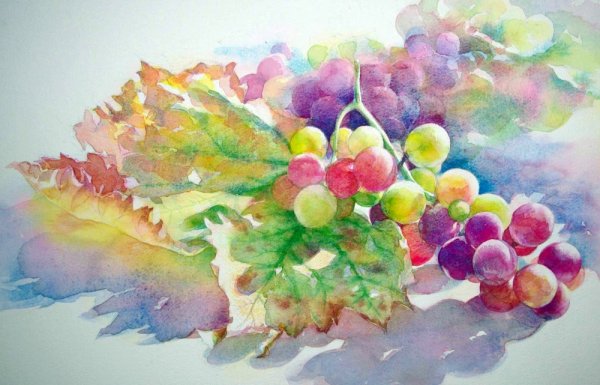 Калина акварель