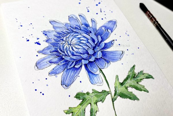 Анна Божкова акварель