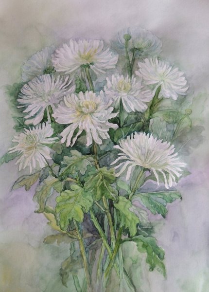 Ирина Горячева хризантемы