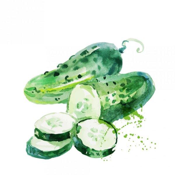 Огурец для рисования