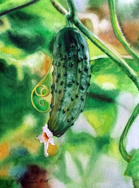 Огурцы в живописи