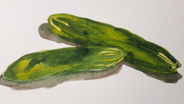 Рисование огурца красками