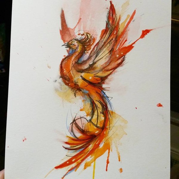 Феникс Фоукс акварелью