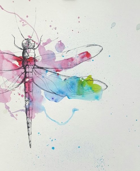 Акварельные Стрекозы