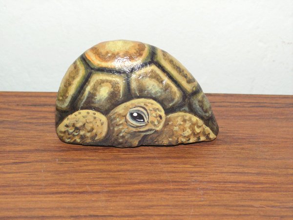 Черепашка на Камне