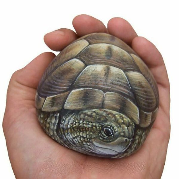 Рисование на камнях черепаха