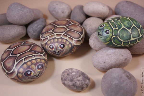 Роберто Риццо животные Ожившие на камнях